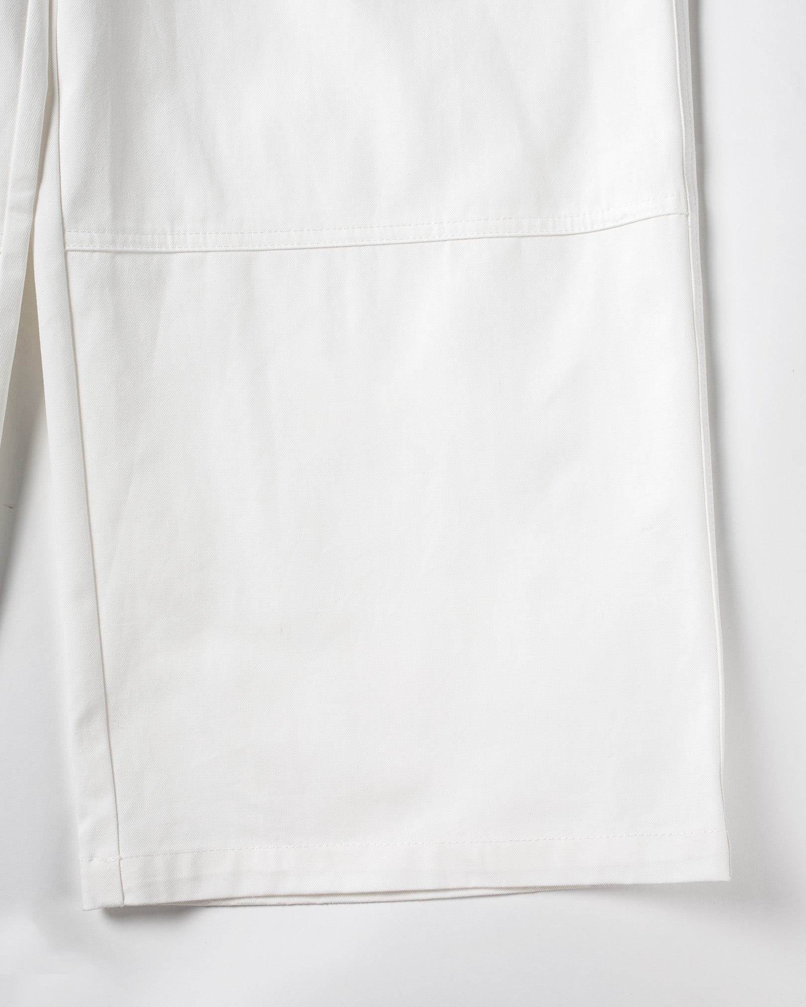 Pleated Pants