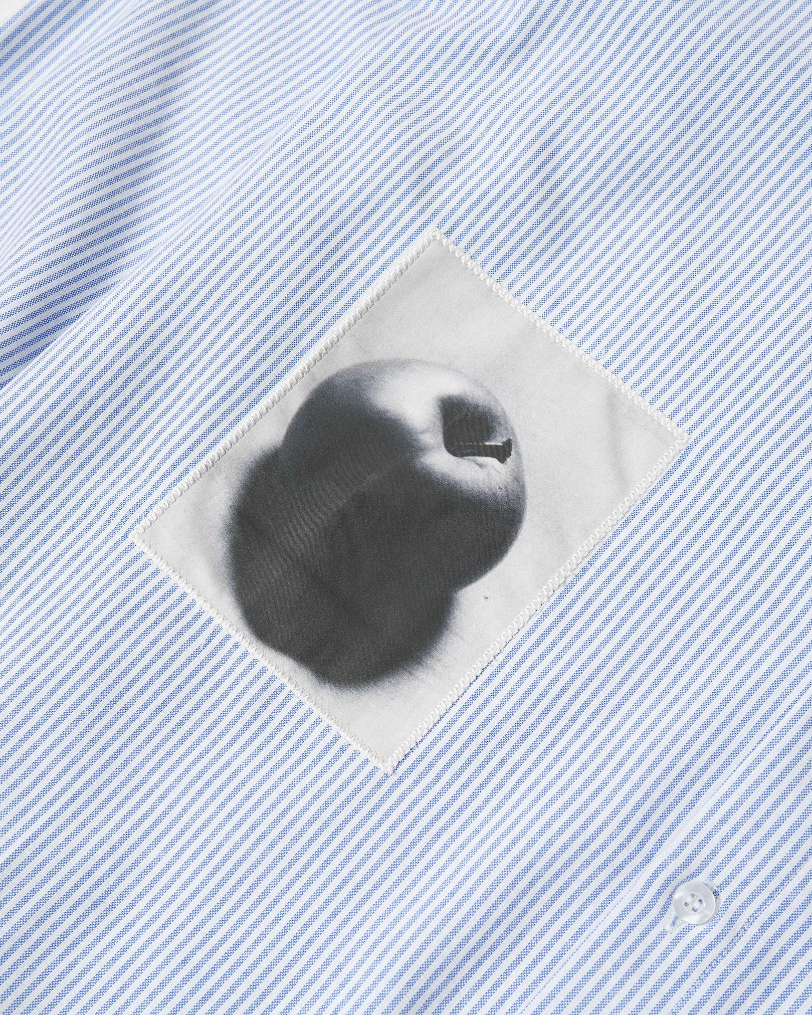 Bury The Hatchet Oxford Shirt