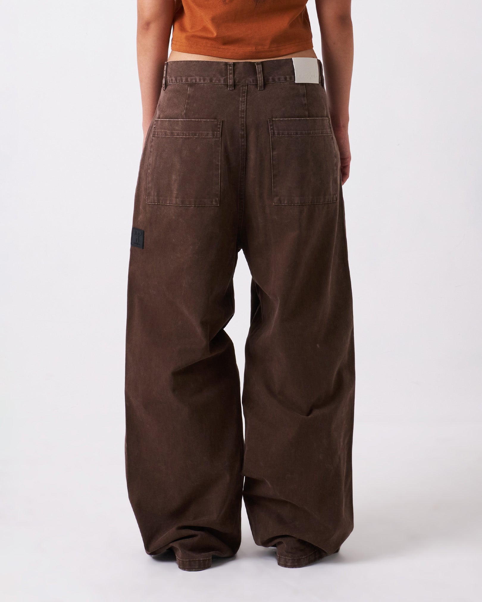 Earth Washed Pleated Pants
