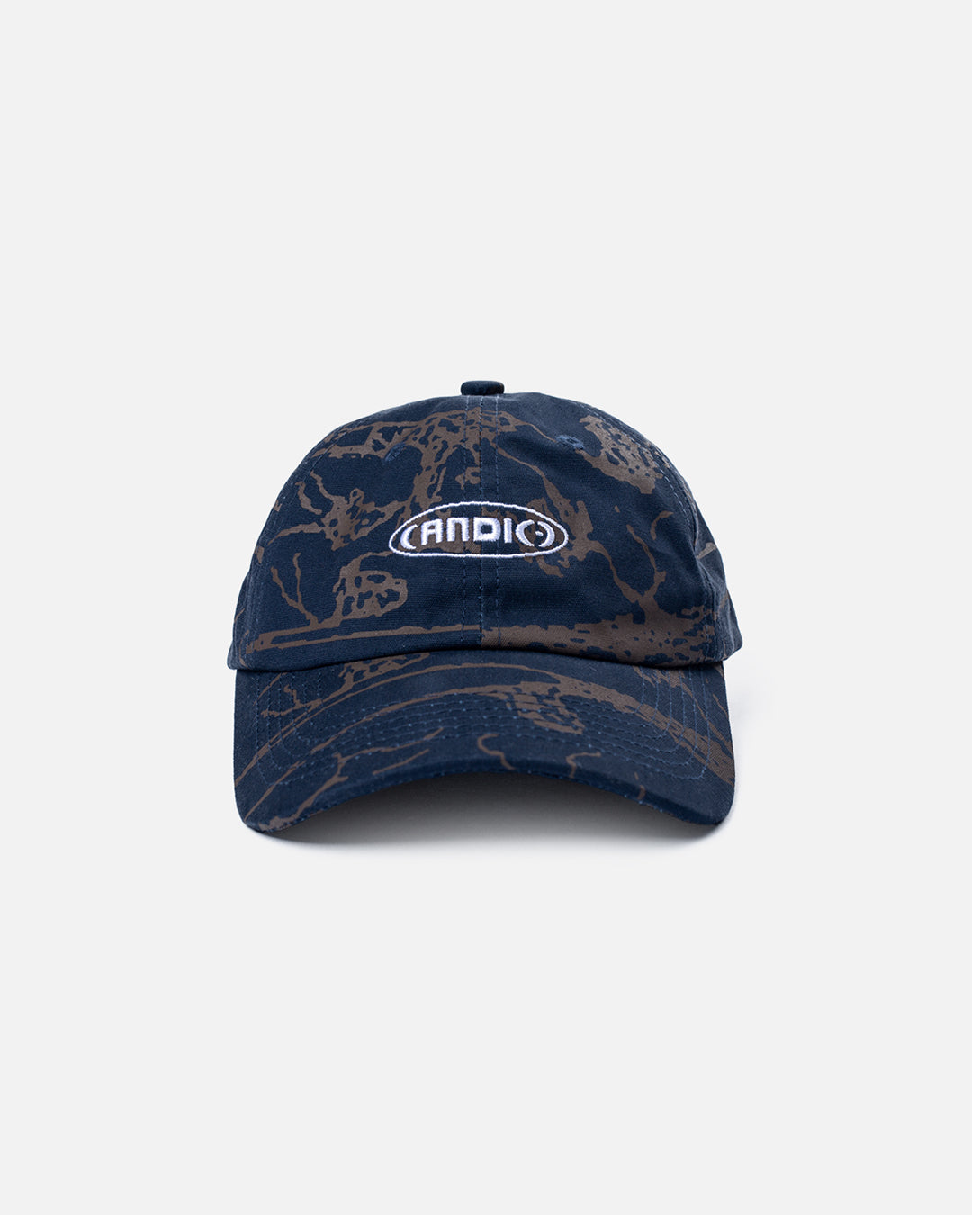 Forager 6 Panel Hat