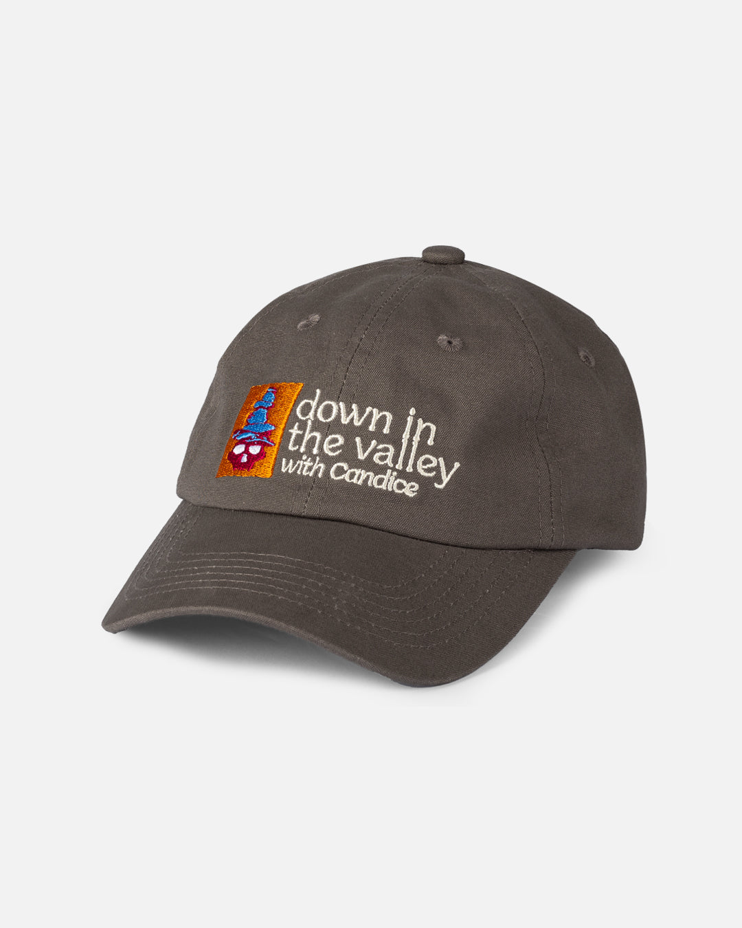 Down In The Valley 6 Panel Hat